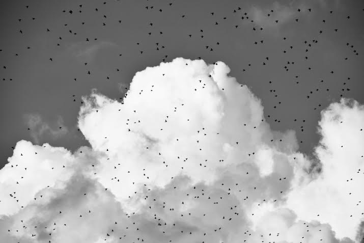 Andrea Mete – Stesso Cielo